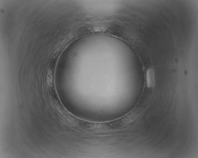 X0000052551443200507011118