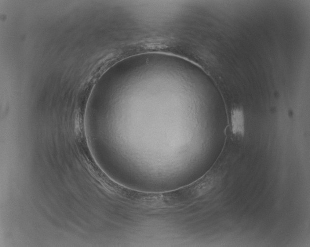 X0000052551444200507011118