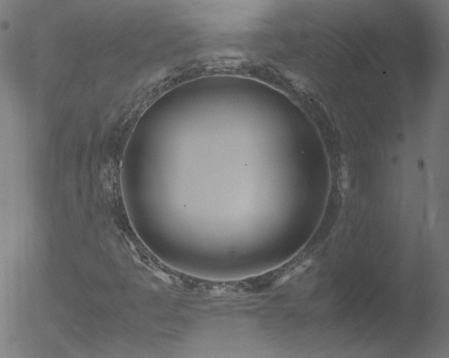 X0000052551445200507011118