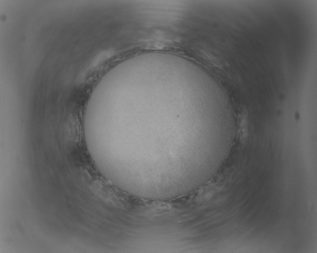 X0000052551446200507011118