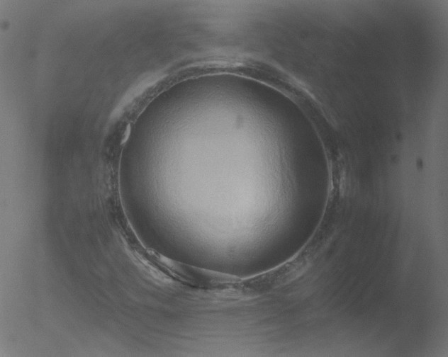 X0000052551448200507011118