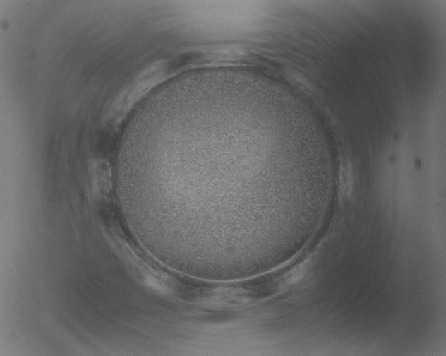 X0000052551449200507011118