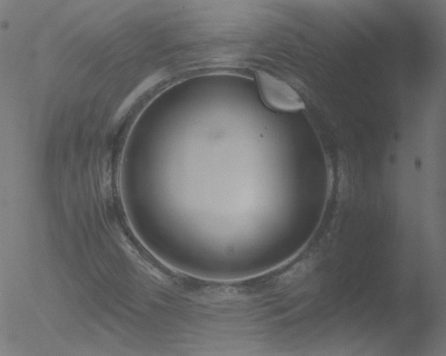 X0000052551450200507011118