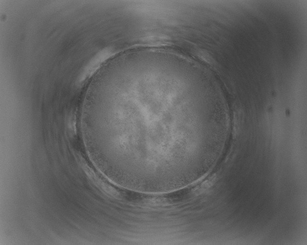 X0000052551451200507011118