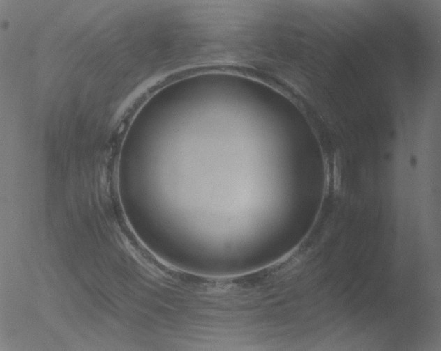 X0000052551452200507011118