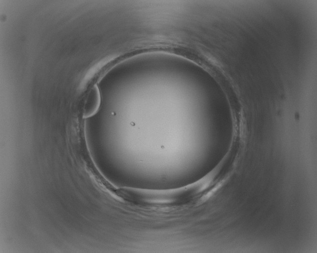 X0000052551453200507011118