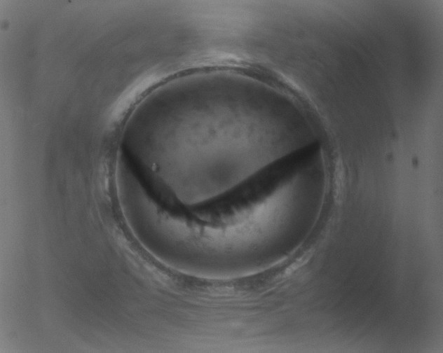 X0000052551455200507011118