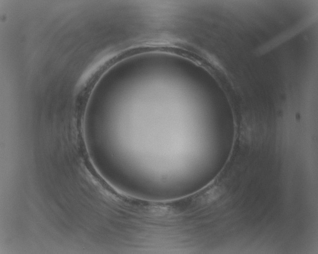 X0000052551456200507011118