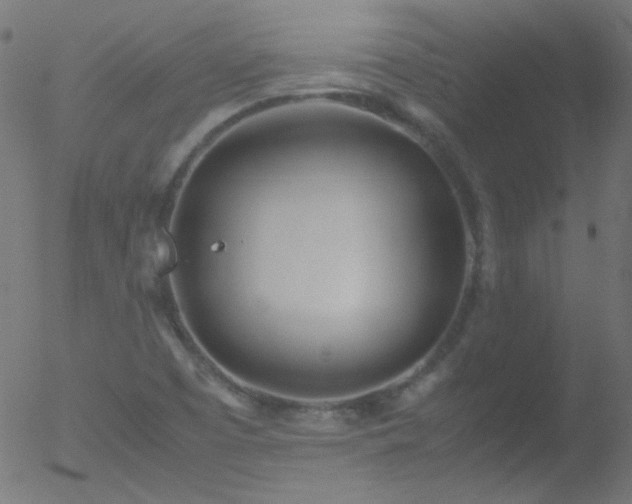 X0000052551457200507011118