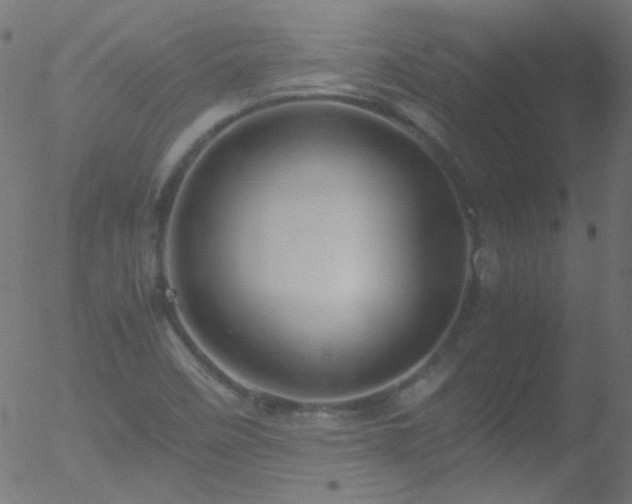 X0000052551458200507011118