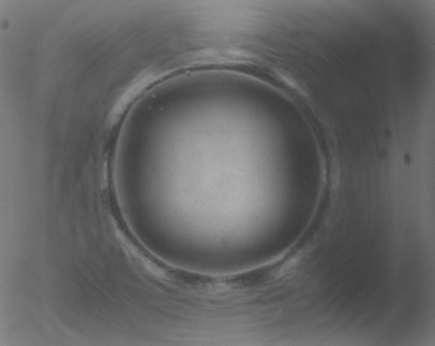 X0000052551459200507011118