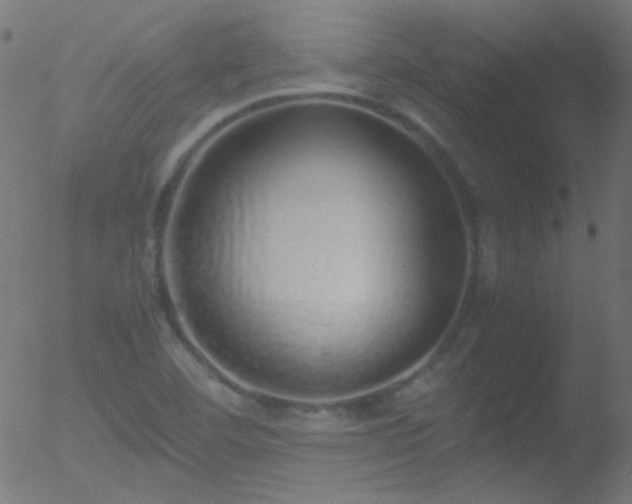 X0000052551460200507011118