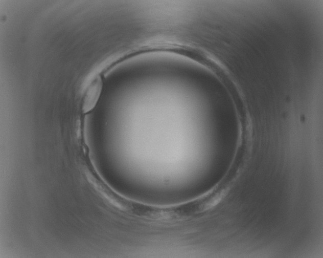 X0000052551461200507011118