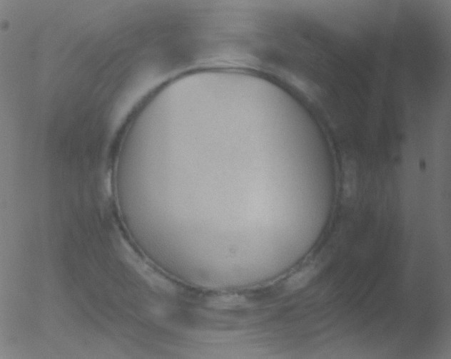 X0000052551462200507011118