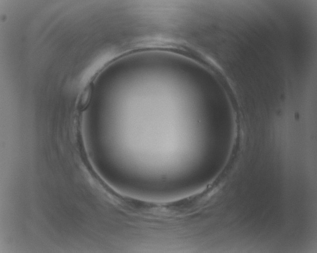 X0000052551463200507011118