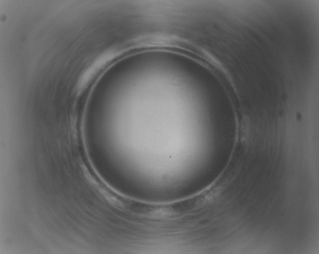 X0000052551464200507011118