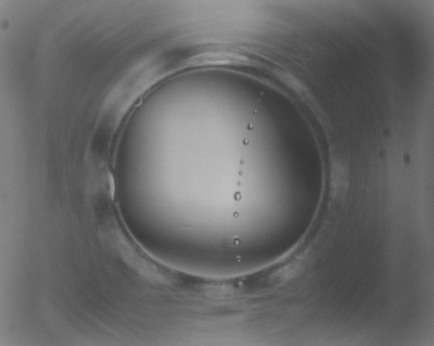 X0000052551465200507011118