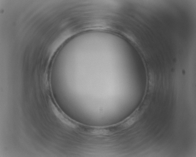 X0000052551466200507011118