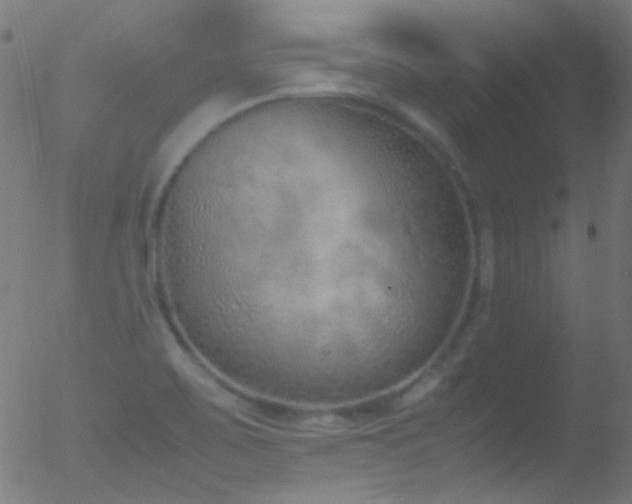 X0000052551467200507011118