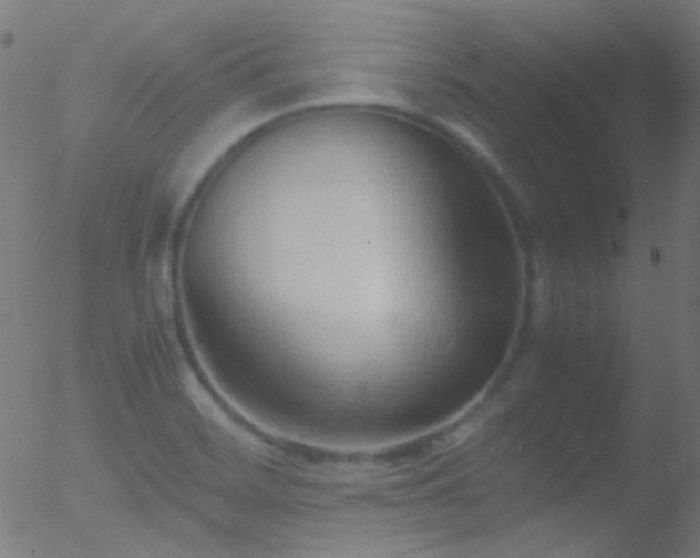 X0000052551468200507011118