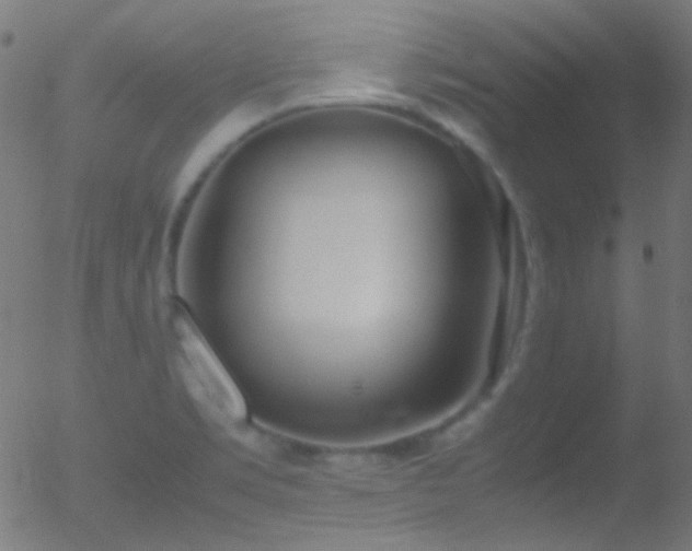 X0000052551469200507011118