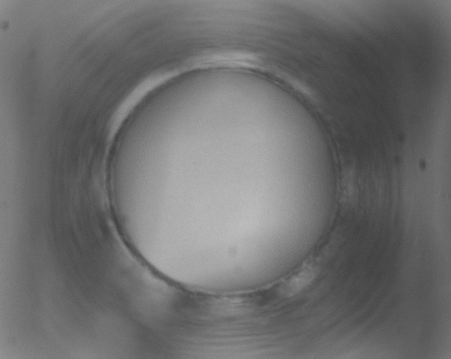 X0000052551470200507011118