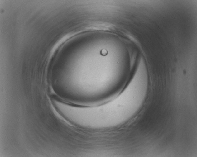 X0000052551471200507011118