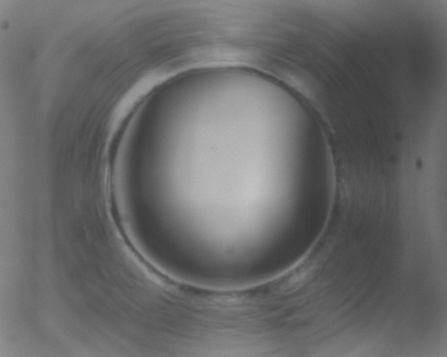 X0000052551472200507011118