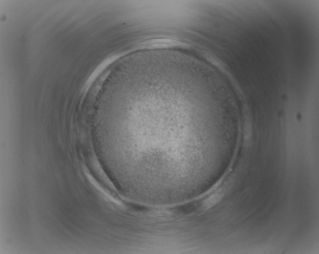 X0000052551473200507011118