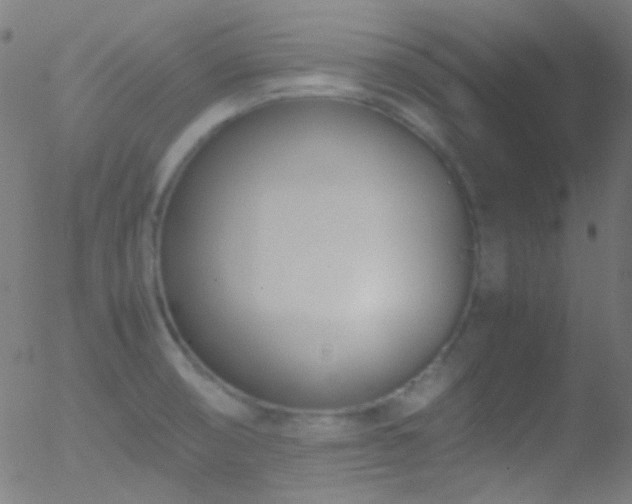 X0000052551474200507011118