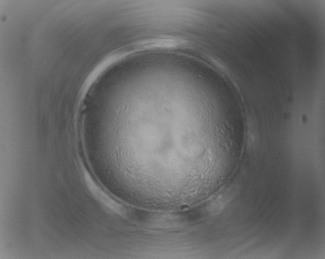 X0000052551475200507011118