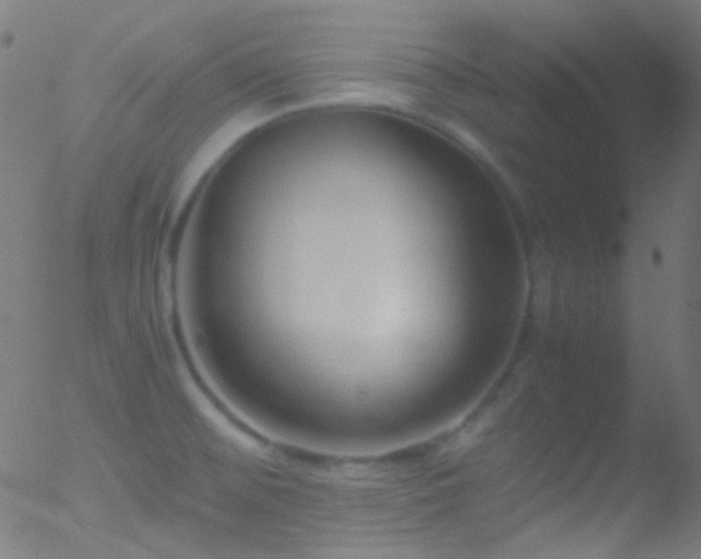 X0000052551476200507011118