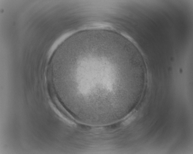 X0000052551477200507011118