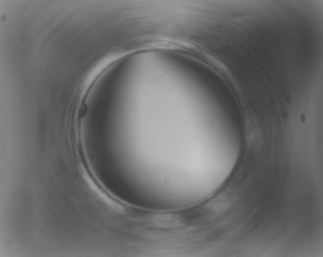 X0000052551479200507011118