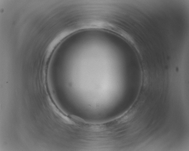 X0000052551480200507011118