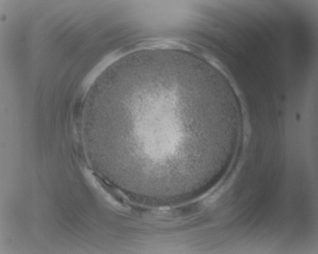 X0000052551481200507011118