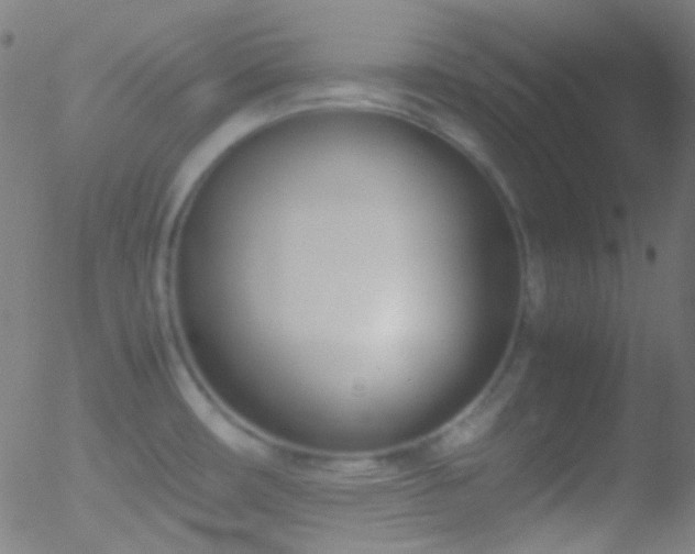 X0000052551482200507011118