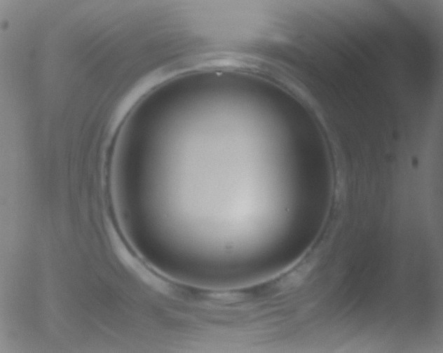 X0000052551483200507011118