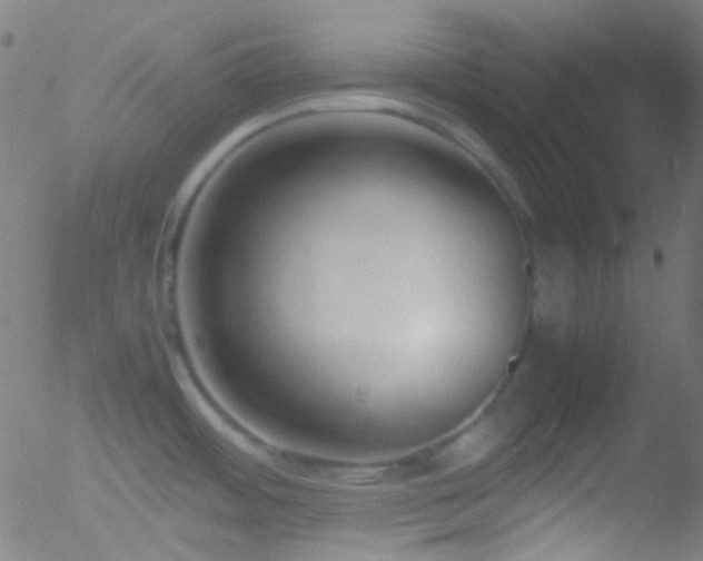 X0000052551484200507011118