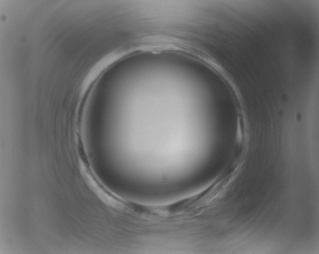 X0000052551485200507011118