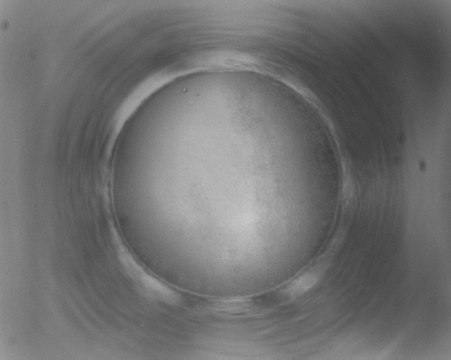 X0000052551486200507011118