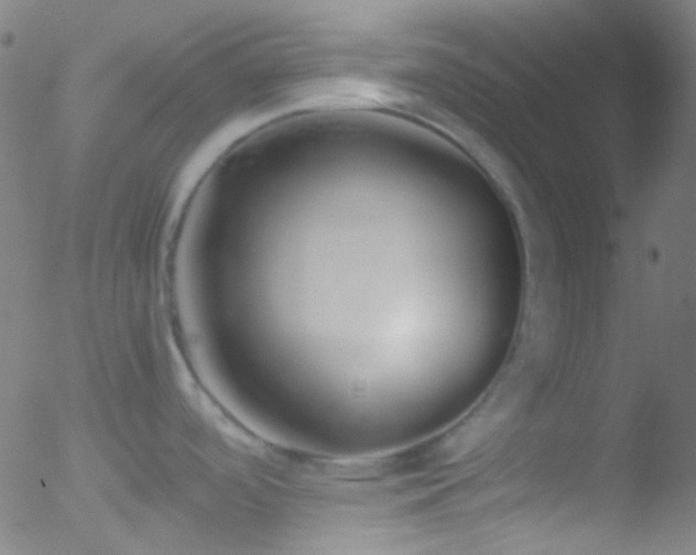 X0000052551488200507011118