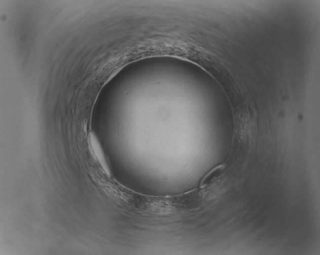 X0000052551489200507011117