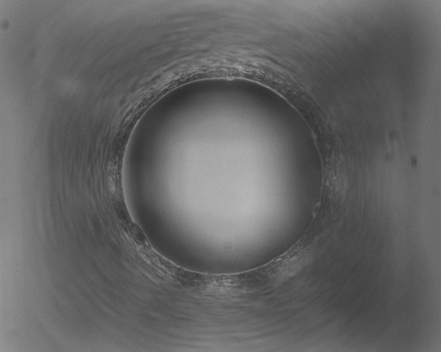 X0000052551490200507011117