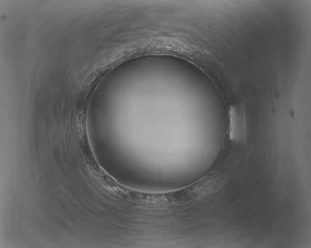 X0000052551491200507011117