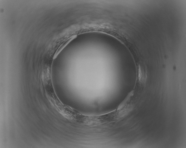 X0000052551492200507011117