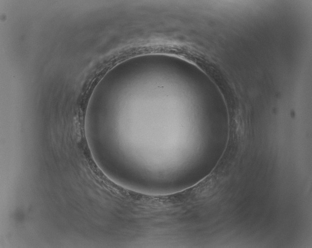 X0000052551493200507011117