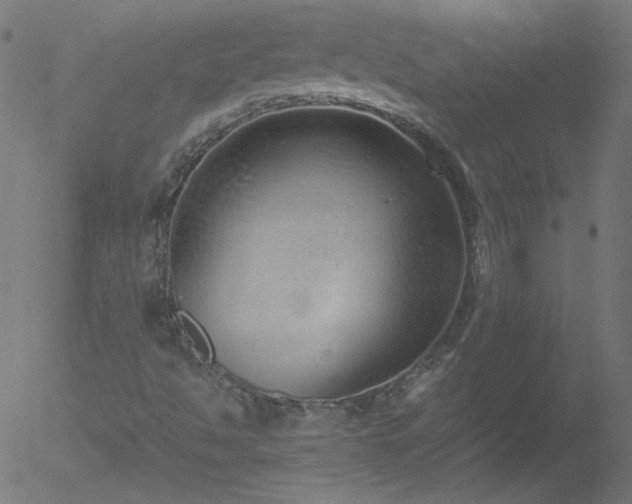 X0000052551494200507011117