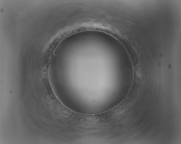 X0000052551495200507011117