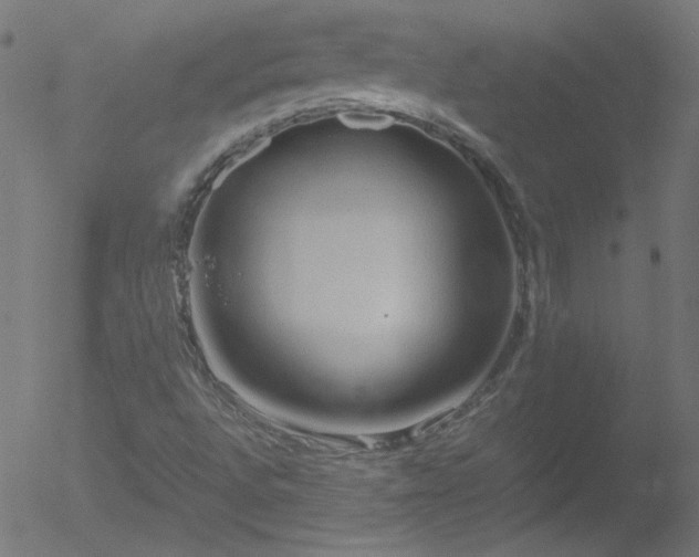 X0000052551496200507011117